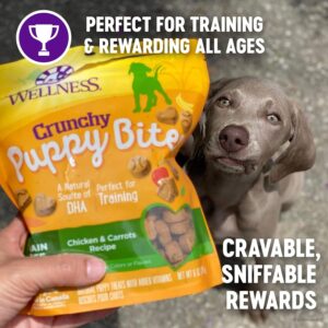 Image of  WELLNESS Crunchy Puppy Bites